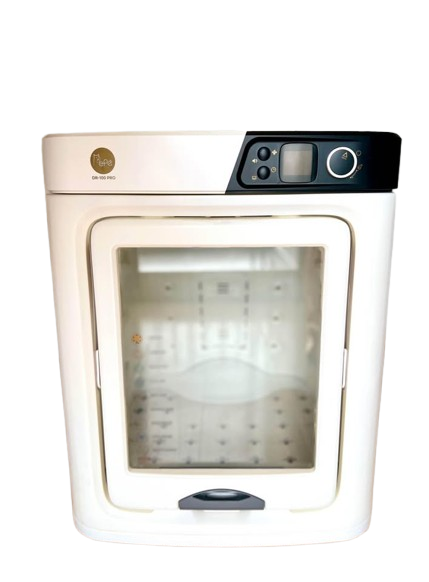 white-removebg-preview